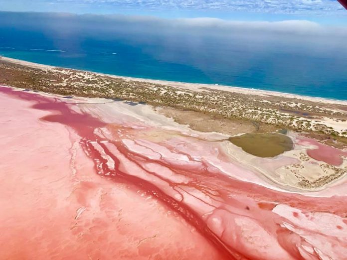 56751307_10157286177569225_4090100710350258176_n