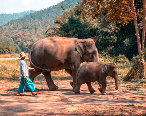 螢幕快照 2021-08-04 16.53.31