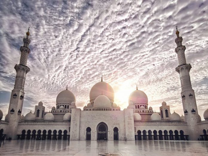 pexels-photo-2406731