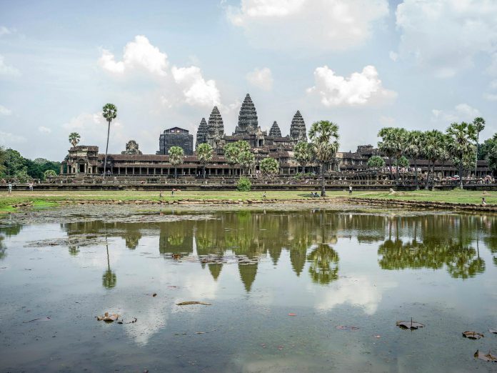 pexels-mineiamartins-33614640